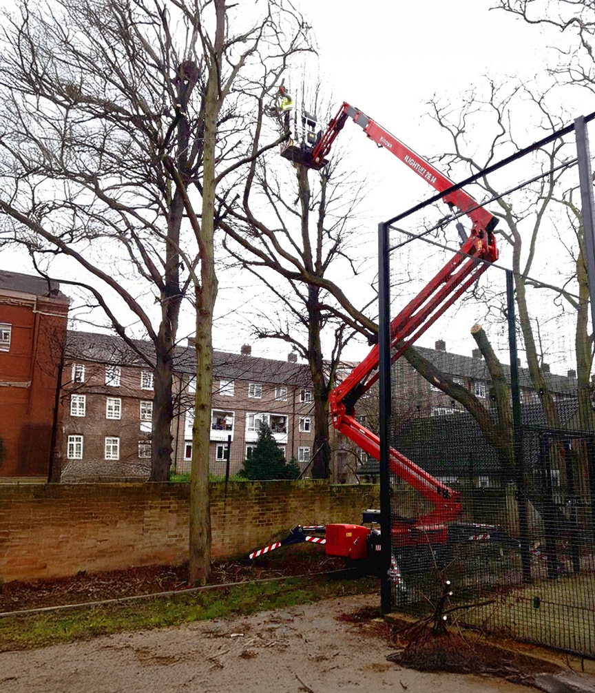 Hinowa Lightlift 26.14